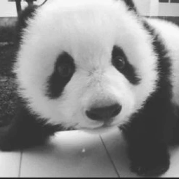 oojakuboo